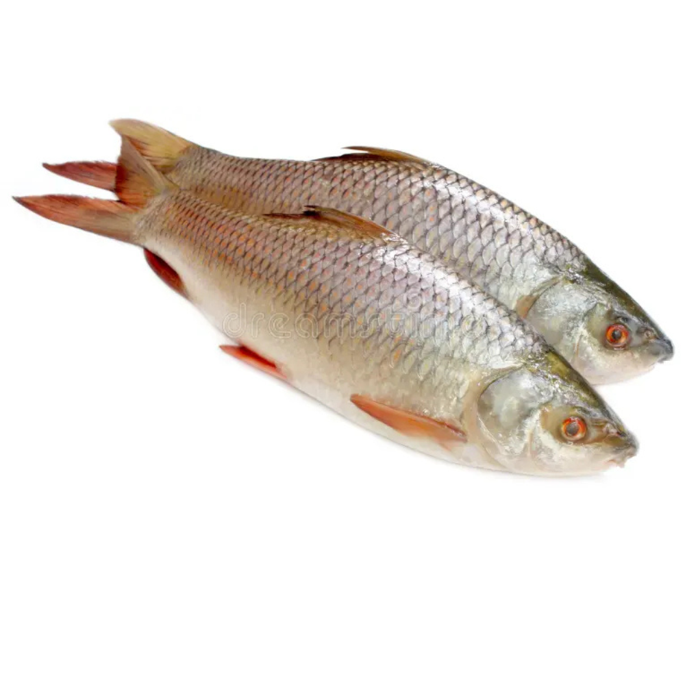 রুই মাছ